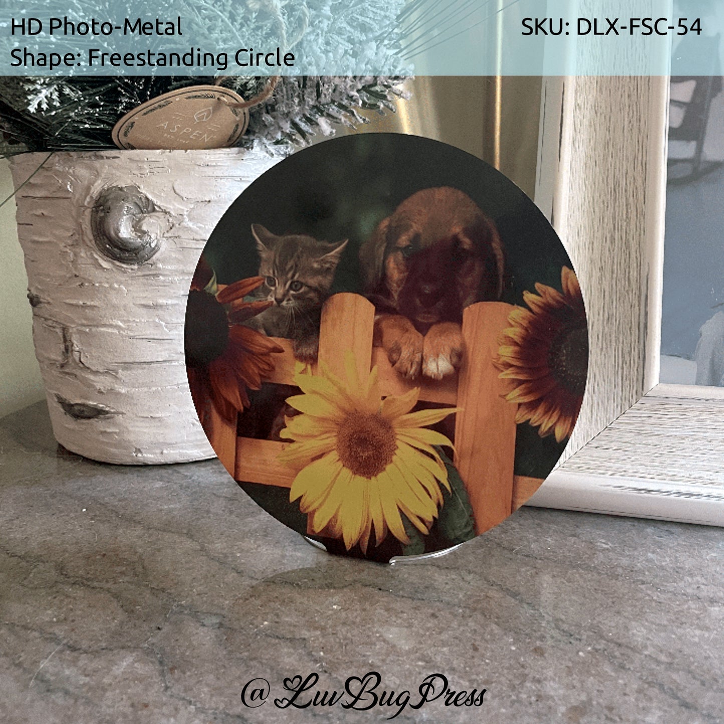 Freestanding Circle Shape Photo-Metal