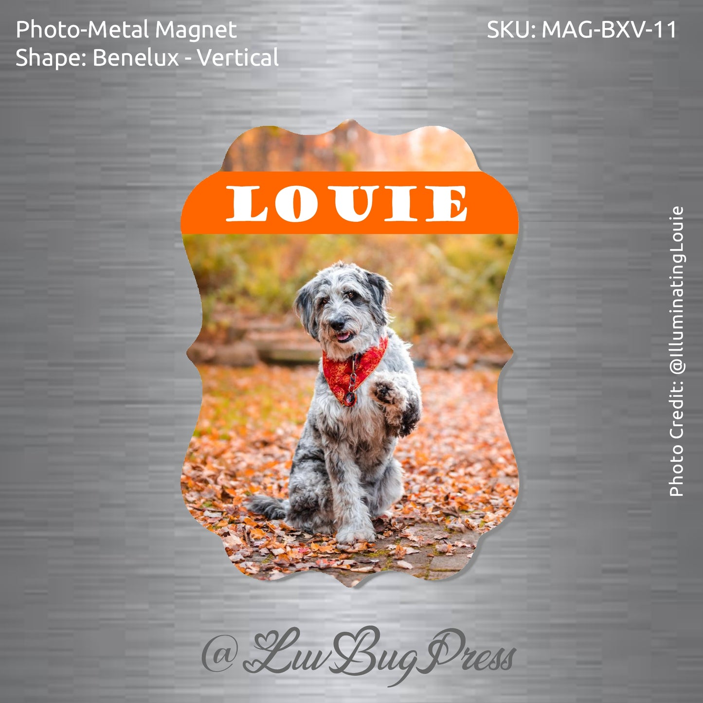 Benelux - Vertical Photo-Metal Magnet
