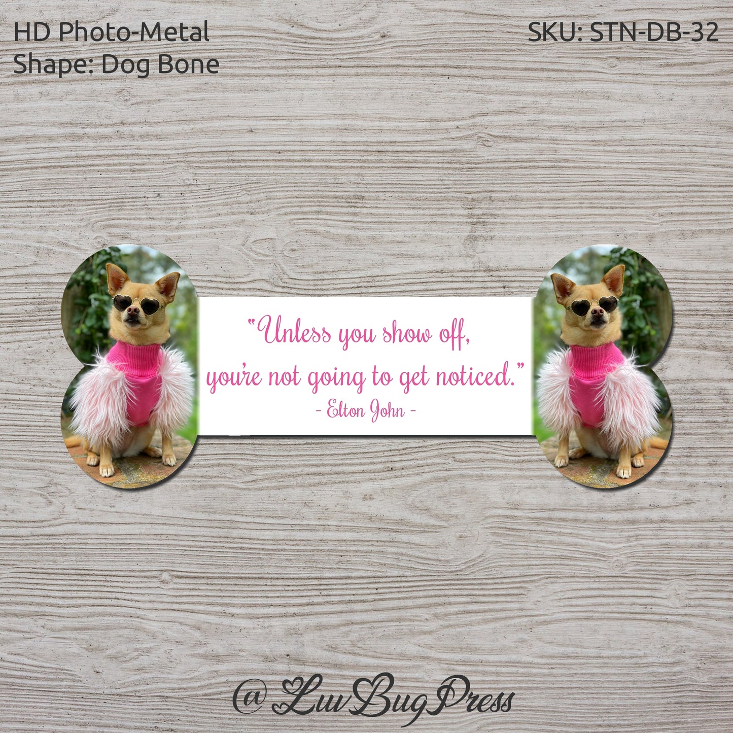 Novelty Photo-Metal Dog Bone
