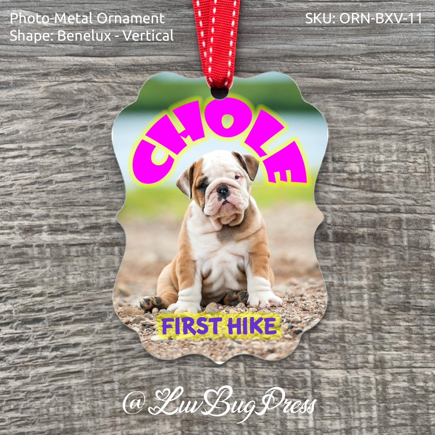 Benelux - Vertical Photo-Metal Ornament
