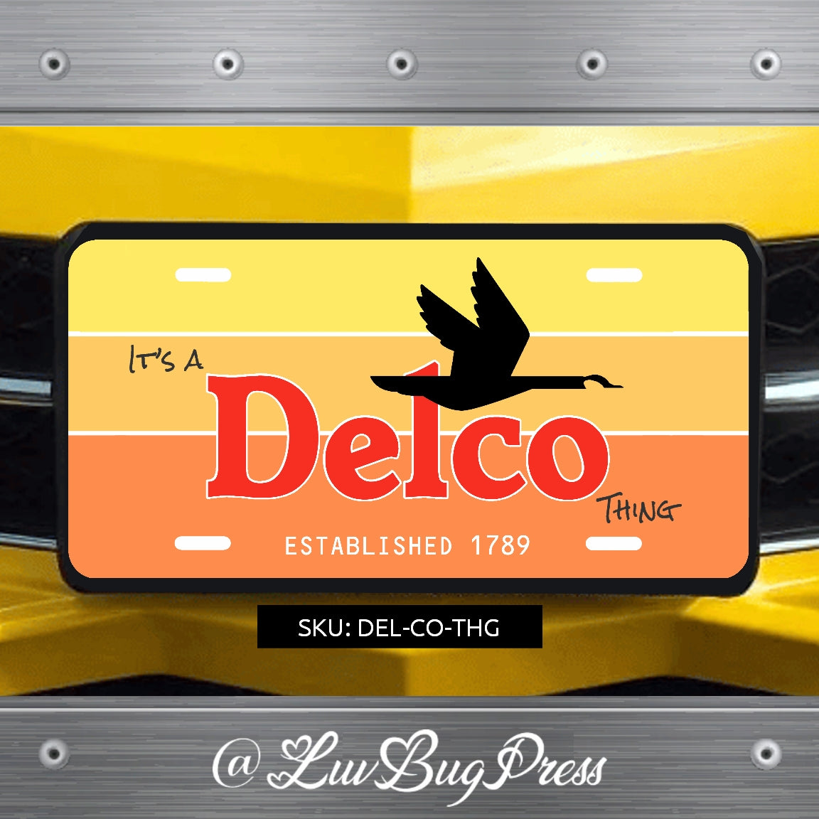 You Have a Friend in DELCO License Plate Series