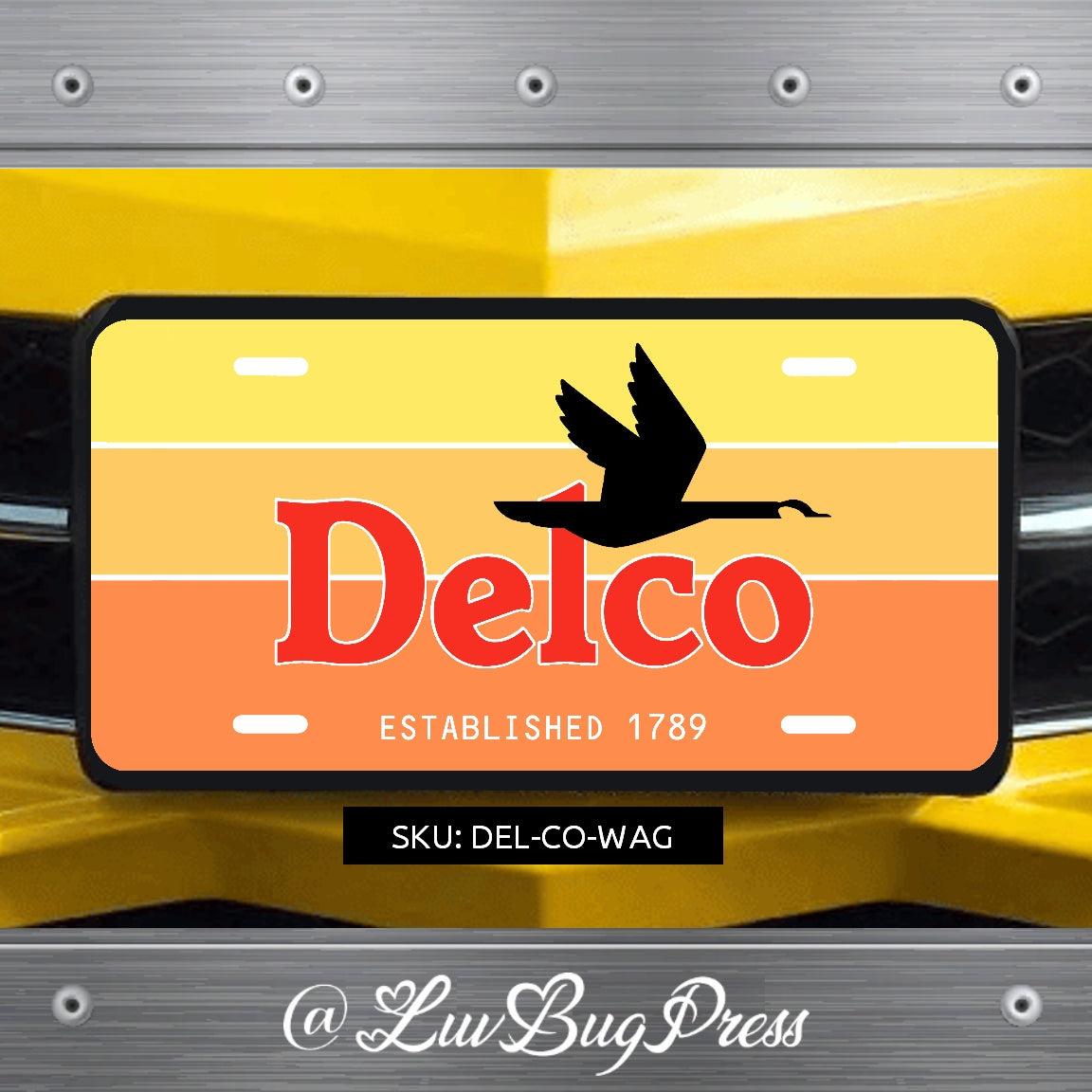 You Have a Friend in DELCO License Plate Series