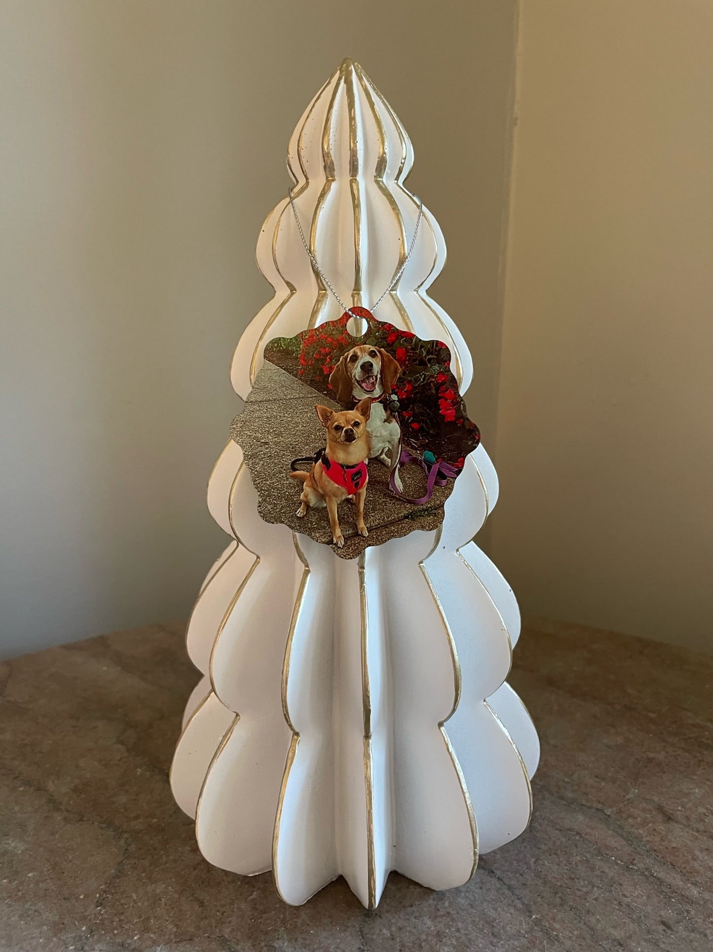 Snowflake Photo-Metal Ornament