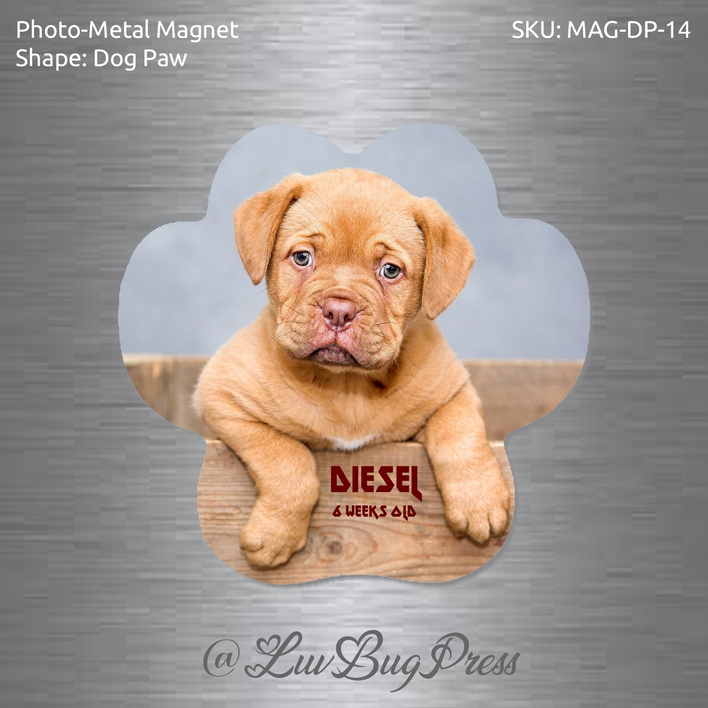 Dog Paw Photo-Metal Magnet