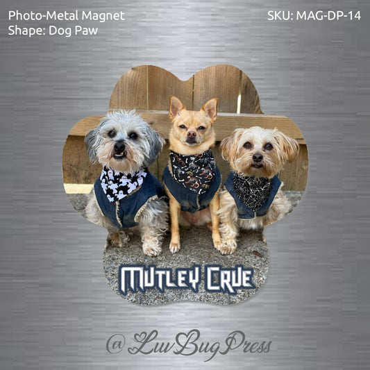 Dog Paw Photo-Metal Magnet