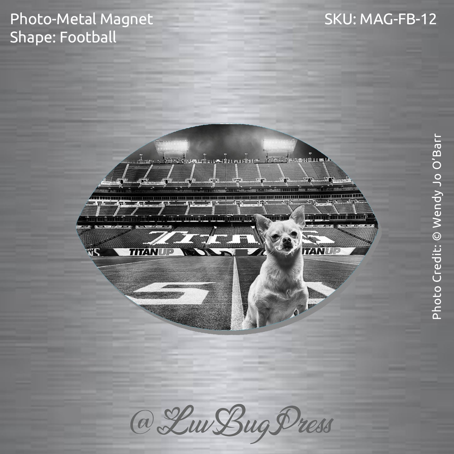 Football Photo-Metal Magnet