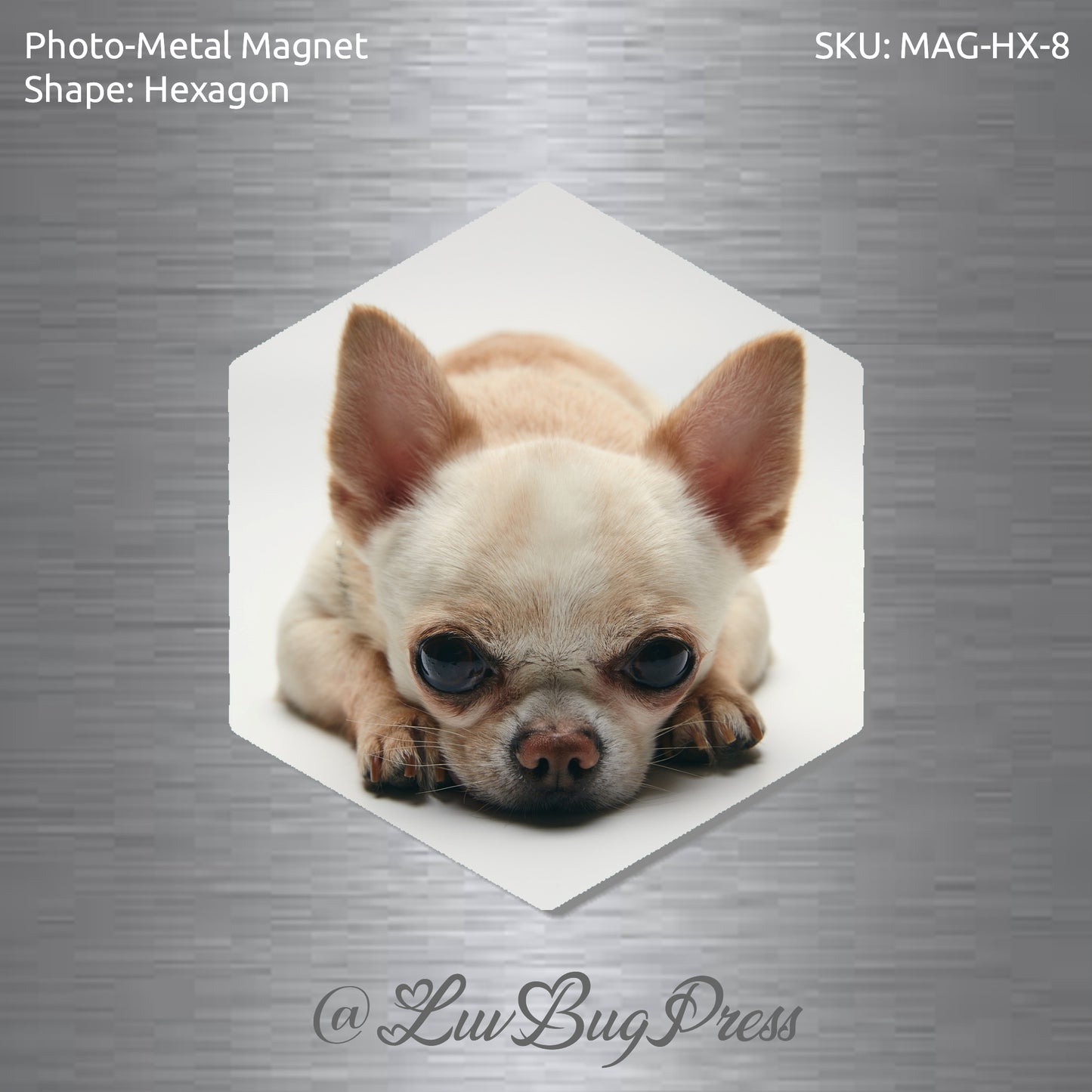 Hexagon Photo-Metal Magnet