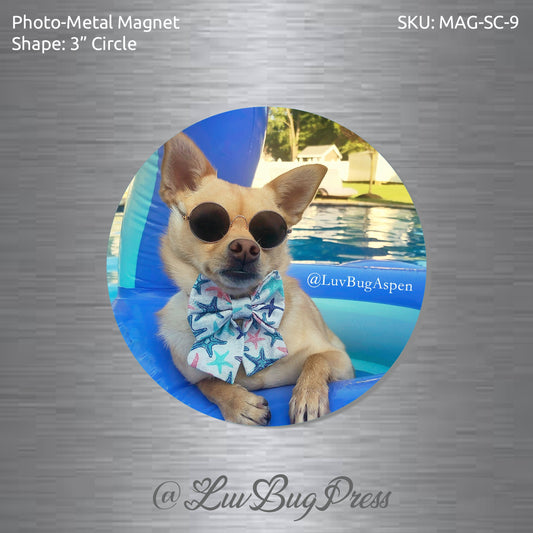 3" Circle Photo-Metal Magnet