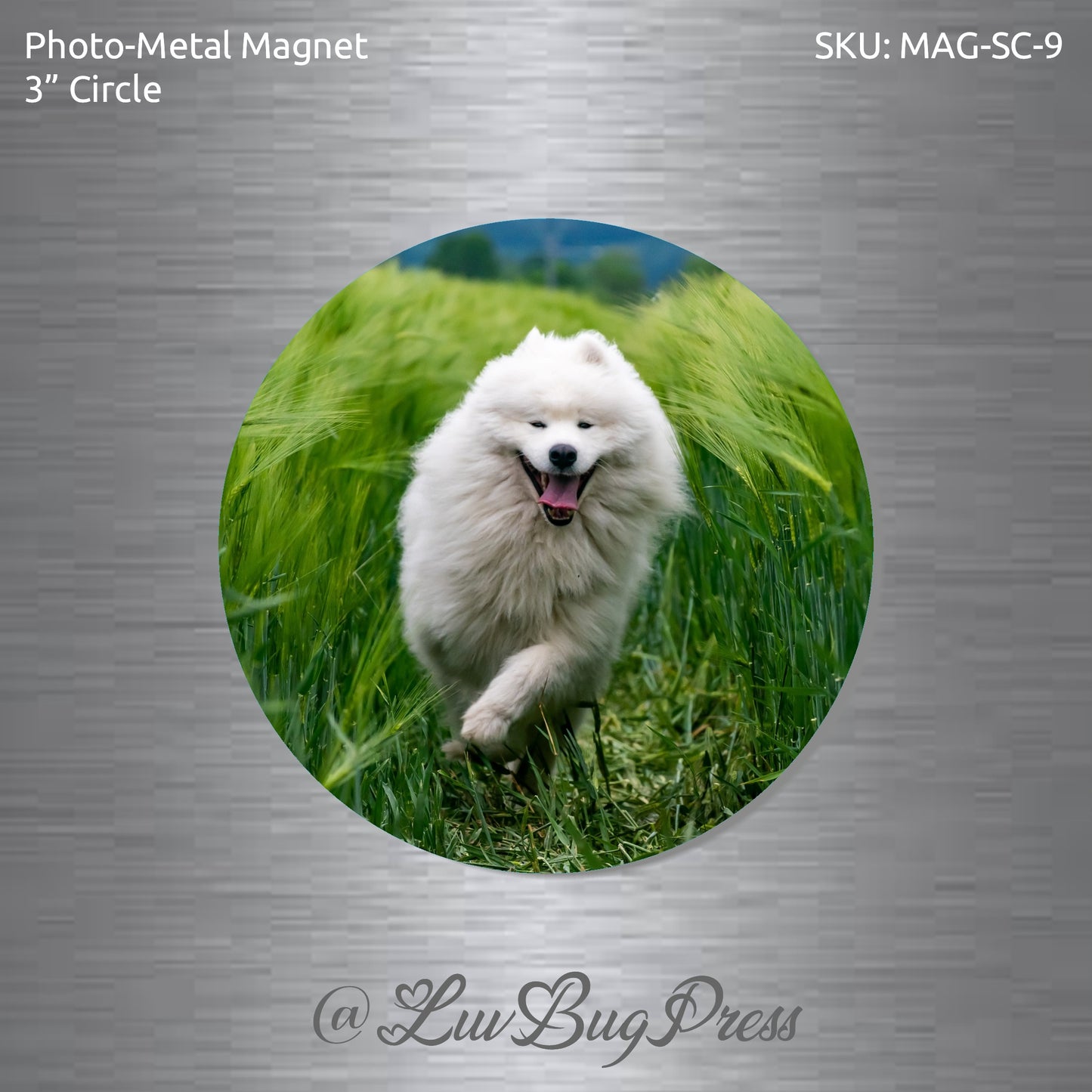 3" Circle Photo-Metal Magnet