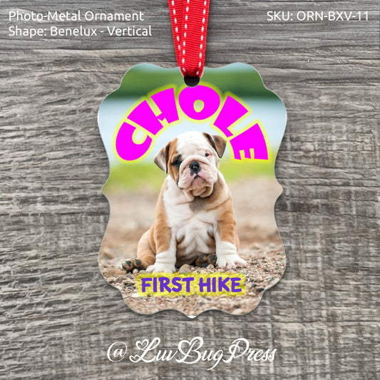 Benelux - Vertical Photo-Metal Ornament