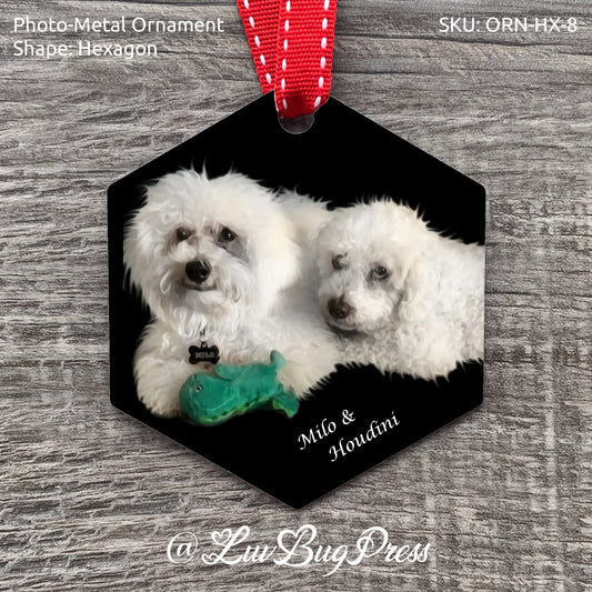 Hexagon Photo-Metal Ornament